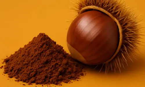 Chestnut Extract
