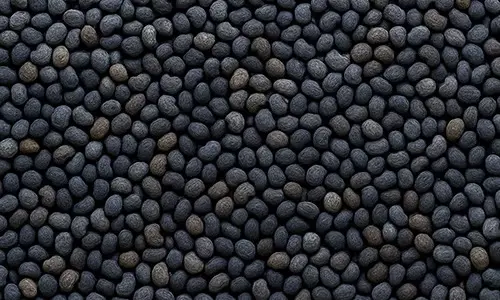 Poppy Seeds